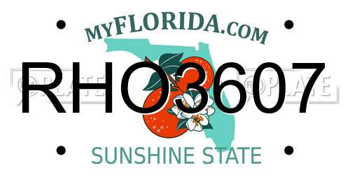 RHO3607 Florida License Plate