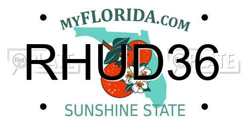 RHUD36 Florida License Plate