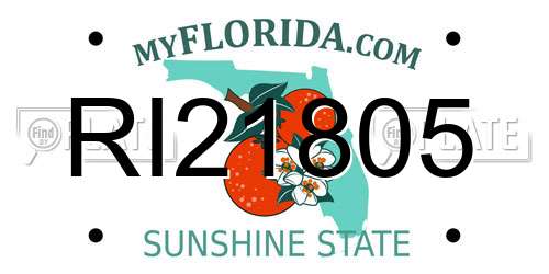 RI21805 Florida License Plate