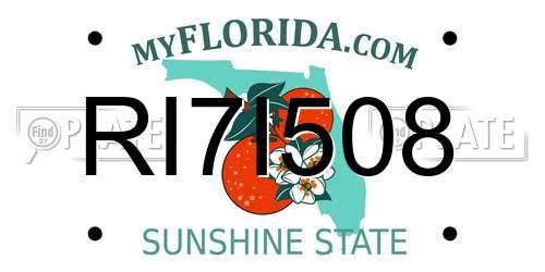 RI7I508 Florida License Plate