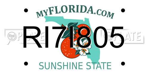 RI7I805 Florida License Plate