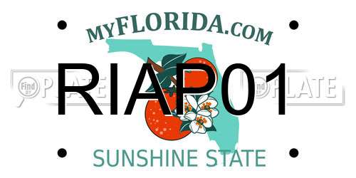 RIAP01 Florida License Plate