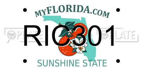 RIC301 Florida License Plate