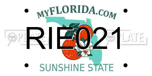RIE021 Florida License Plate