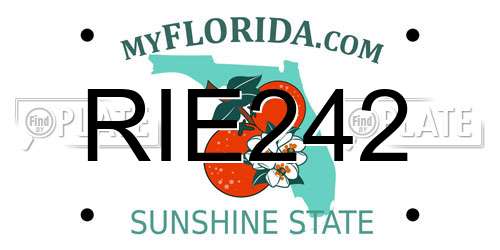 RIE242 Florida License Plate
