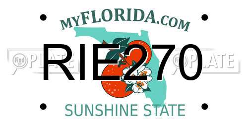 RIE270 Florida License Plate