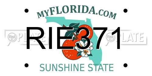 RIE371 Florida License Plate