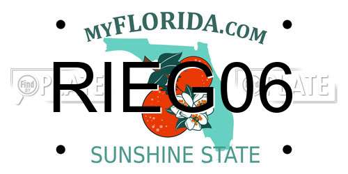 RIEG06 Florida License Plate