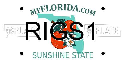 RIGS1 Florida License Plate