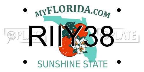RIIY38 Florida License Plate