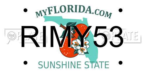 RIMY53 Florida License Plate