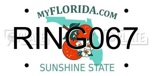 RING067 Florida License Plate