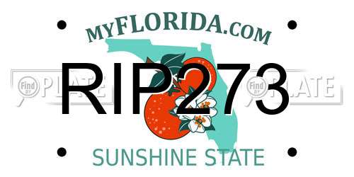 RIP273 Florida License Plate