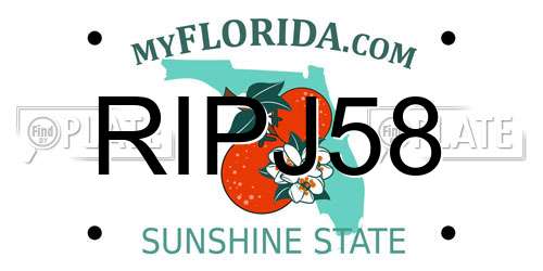 RIPJ58 Florida License Plate