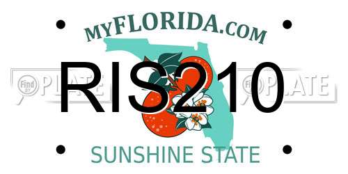 RIS210 Florida License Plate