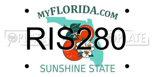 RIS280 Florida License Plate