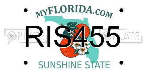 RIS455 Florida License Plate