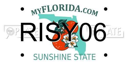 RISY06 Florida License Plate