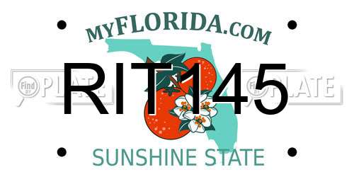 RIT145 Florida License Plate
