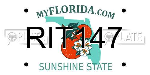 RIT147 Florida License Plate