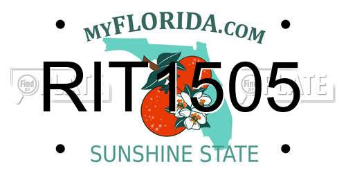RIT1505 Florida License Plate