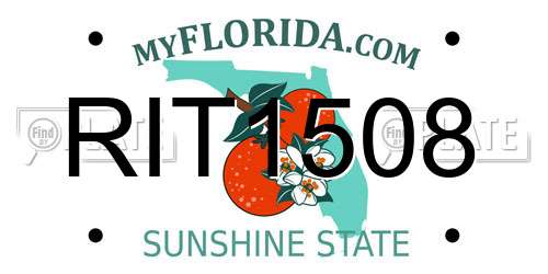 RIT1508 Florida License Plate