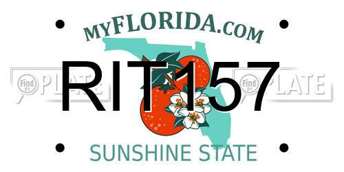 RIT157 Florida License Plate