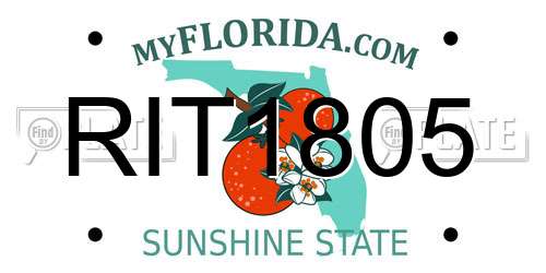 RIT1805 Florida License Plate