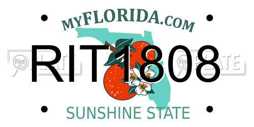 RIT1808 Florida License Plate