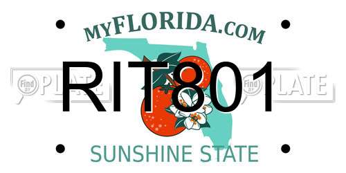 RIT801 Florida License Plate