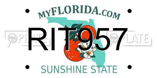 RIT957 Florida License Plate