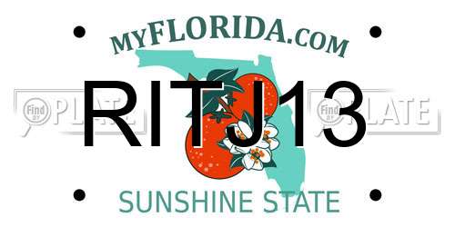 RITJ13 Florida License Plate