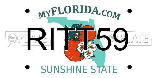 RITT59 Florida License Plate