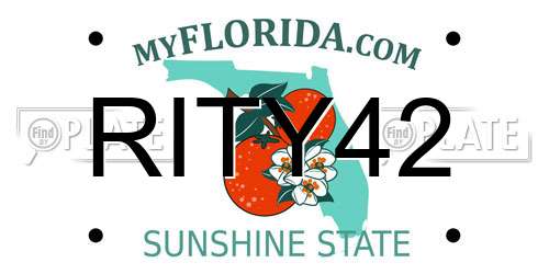 RITY42 Florida License Plate