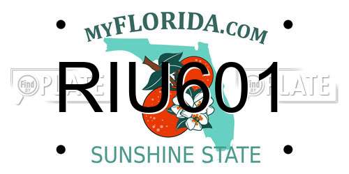 RIU601 Florida License Plate