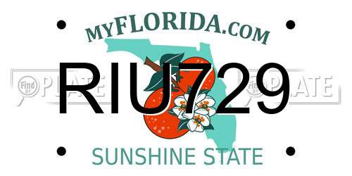 RIU729 Florida License Plate