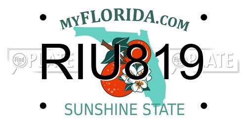 RIU819 Florida License Plate