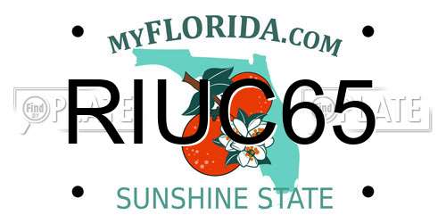 RIUC65 Florida License Plate