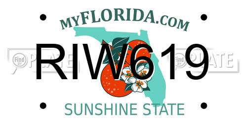 RIW619 Florida License Plate