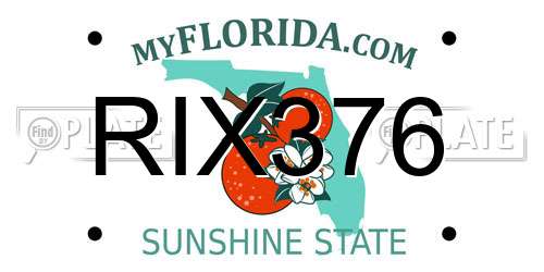 RIX376 Florida License Plate