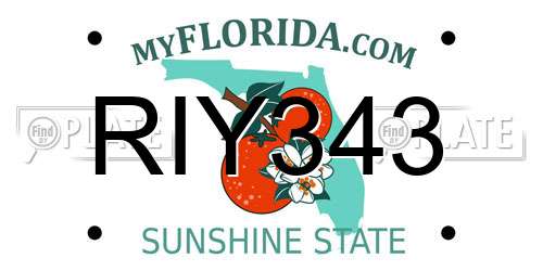 RIY343 Florida License Plate