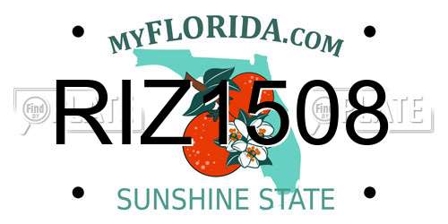 RIZ1508 Florida License Plate