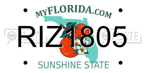 RIZ1805 Florida License Plate