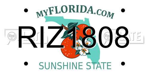 RIZ1808 Florida License Plate