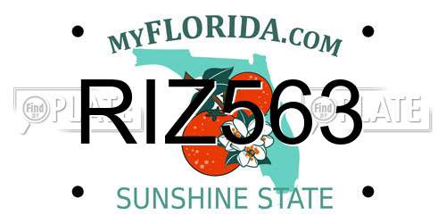 RIZ563 Florida License Plate
