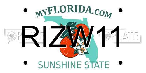 RIZW11 Florida License Plate