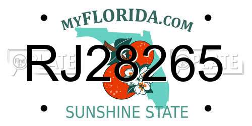 RJ28265 Florida License Plate
