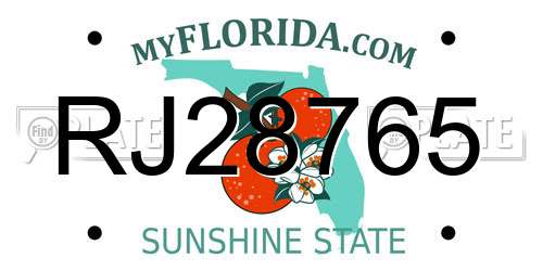 RJ28765 Florida License Plate
