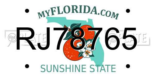RJ78765 Florida License Plate