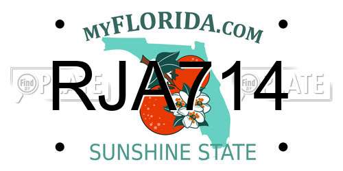 RJA714 Florida License Plate